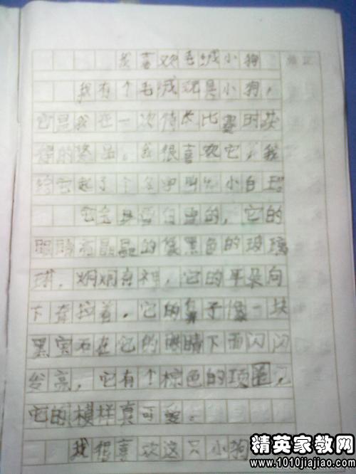 健康作文開(kāi)頭50字