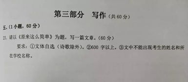 總是想起那一天作文開頭