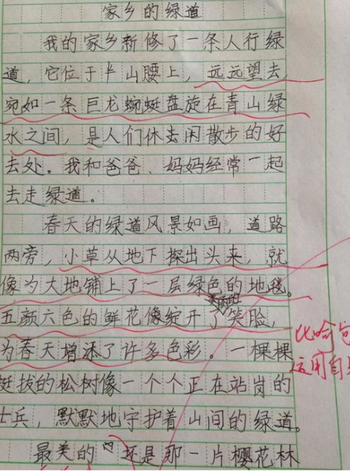 我想去作文600字作文開頭