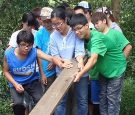 互相關(guān)心的事情作文開(kāi)頭結(jié)尾