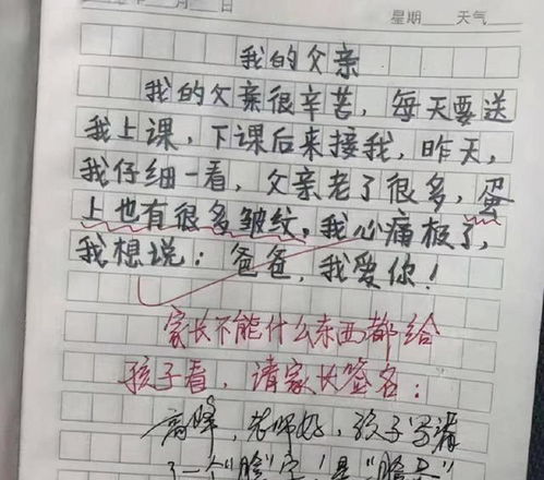 其實(shí)我很懂你老師作文600字作文開(kāi)頭