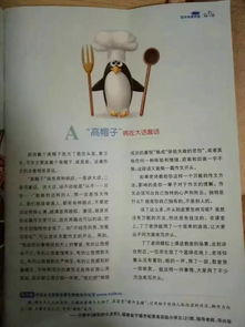 籃球會作文的開頭