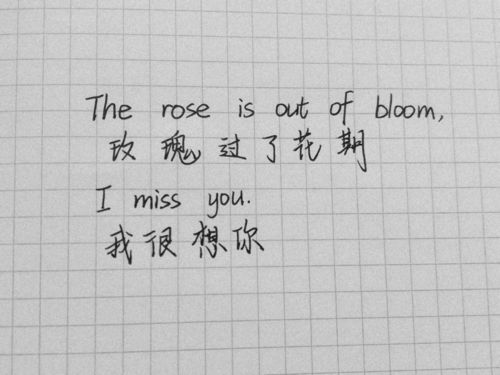 手機(jī)一眼就能讓人淪陷的作文開頭