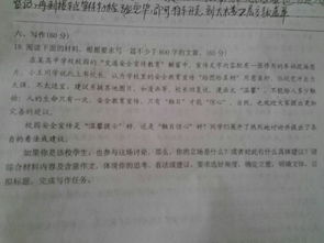 欄桿800字作文開頭排比句