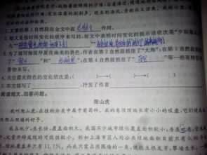 寫大自然的開頭作文有什么