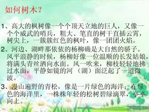 關(guān)于景物的作文(關(guān)于景物的作文)