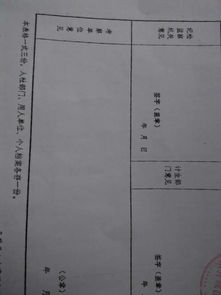 事業(yè)編政審個(gè)人總結(jié)(事業(yè)人員政審個(gè)人總結(jié))