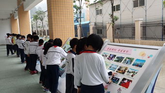 社會(huì)實(shí)踐活動(dòng)成果(社會(huì)實(shí)踐活動(dòng)成果展示會(huì)演講稿)