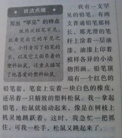 我心愛的東西作文開頭