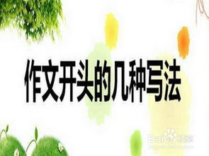 小學(xué)生作文指導(dǎo)寫好開頭