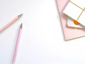 渲染氣氛式開(kāi)頭作文