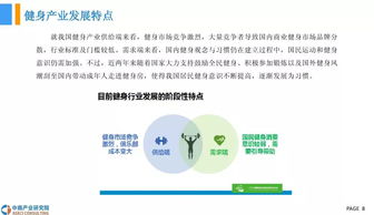 健身器材市場調(diào)研報告(健身器材市場調(diào)研報告)