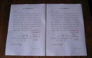 幼兒園申辦報告(申辦幼兒園 工作)