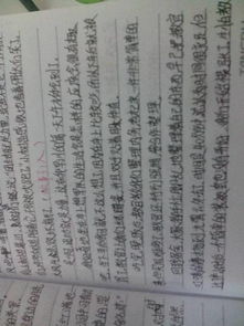 回憶高一軍訓(xùn)的作文開頭結(jié)尾