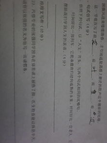 比喻句式作文開頭