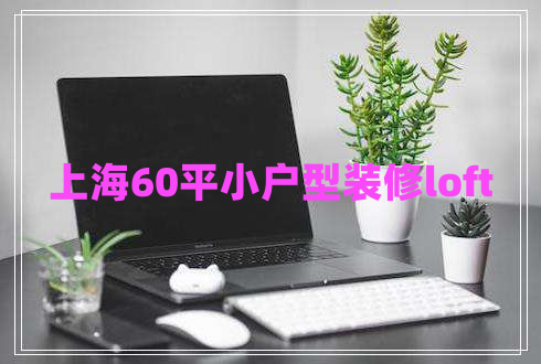 上海60平小戶型裝修loft 上海60平小戶型裝修loft
