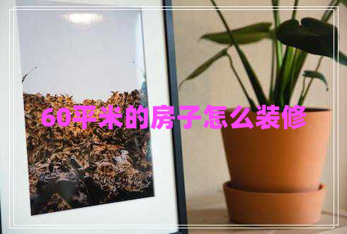 60平米的房子怎么裝修 60平米的房子怎么裝修