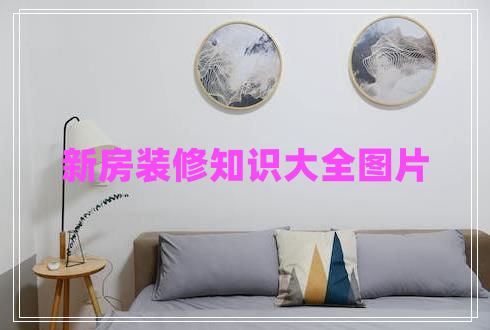 新房裝修知識(shí)大全圖片