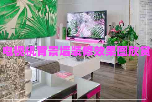 電視機(jī)背景墻裝修效果圖欣賞 電視機(jī)背景墻裝修效果圖欣賞