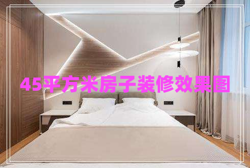 45平方米房子裝修效果圖 45平方米房子裝修效果圖