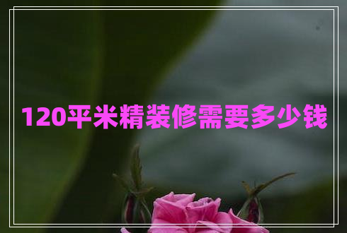 120平米精裝修需要多少錢 120平米精裝修需要多少錢