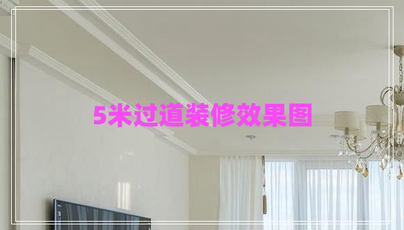 5米過(guò)道裝修效果圖
