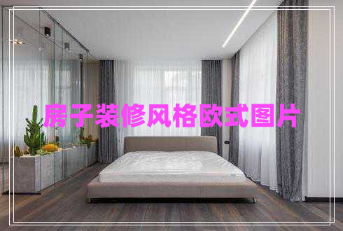 房子裝修風格歐式圖片