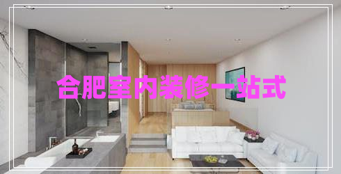 合肥室內(nèi)裝修一站式 合肥室內(nèi)裝修一站式