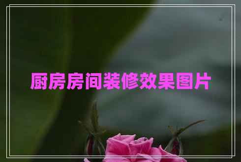 廚房房間裝修效果圖片 廚房房間裝修效果圖片