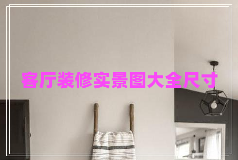 客廳裝修實(shí)景圖大全尺寸