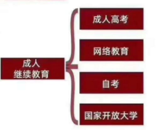 成人高考和自考本科哪個含金量高