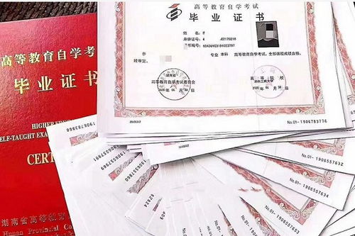 自考本科學歷需要多少學費