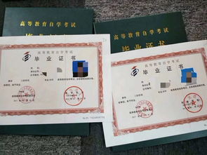 自考本科學(xué)位論文