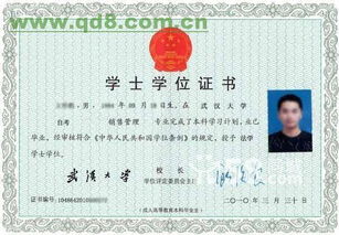 會計(jì)自考本科考研專業(yè)有哪些專業(yè)