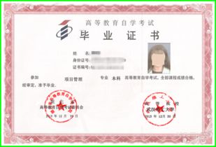 項(xiàng)目管理專業(yè)自考本科