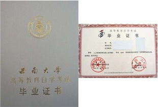 西南大學(xué)自考本科論文