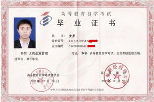 高等學(xué)校本科學(xué)歷包涵成人自考嗎