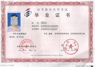 自考本科后第一學歷是本科嗎