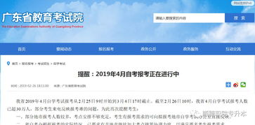 201810自考本科違規(guī)登錄查詢