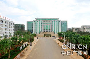 自考的本科畢業(yè)證書會(huì)寫什么