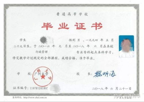 本科畢業(yè)后還能參加自考本科嗎