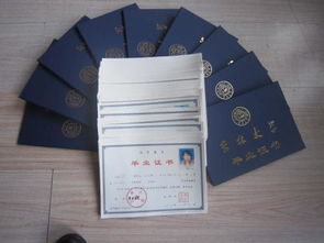 電大的大專文憑能自考本科嗎