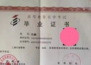 自考混本科哪門(mén)最容易