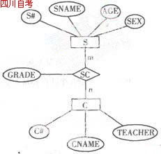 管理信息系統(tǒng)本科自考題