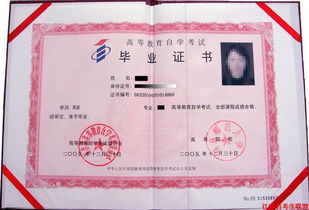 江蘇自考律師本科