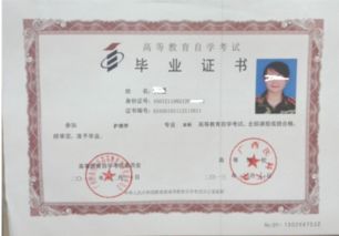 成人本科和自考本科考研究生