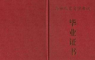 自考本科不考英語拿學(xué)位