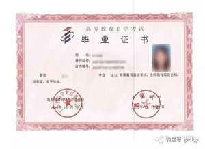 自考大專在讀可以報(bào)本科嗎