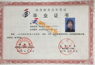 自考本科和自考專科要選一樣嗎