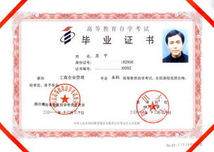 大專有必要自考本科